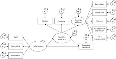 Perfect people, happier lives? When the quest for perfection compromises happiness: the roles played by substance use and internet addiction